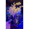 درخت شکوفه برای بزرگترین باشگاه گیمینگ ایران